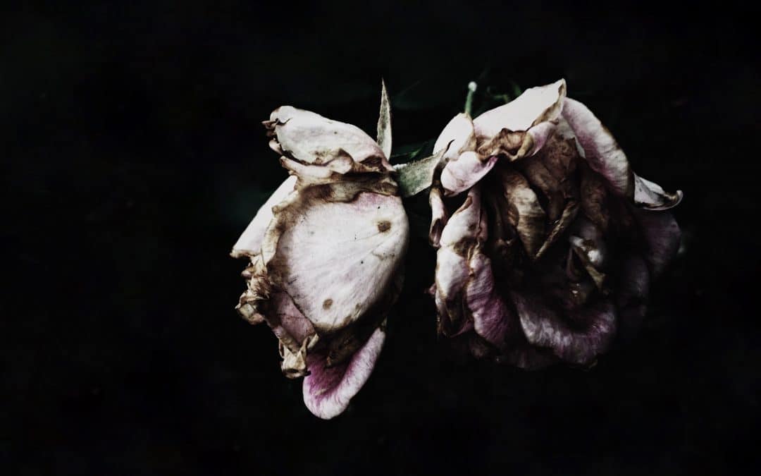 Do You Have the Valentine’s Day Blues? It’s not always a bed of roses.